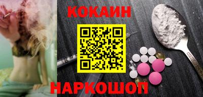 МДПВ Камень-на-Оби