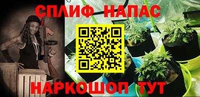 стаф Обь