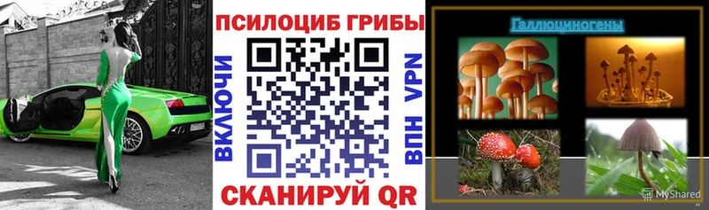 Галлюциногенные грибы MAGIC MUSHROOMS Морозовск